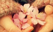 男人劈腿的理由有哪些？