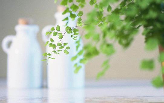 小技巧讓男人更愛你