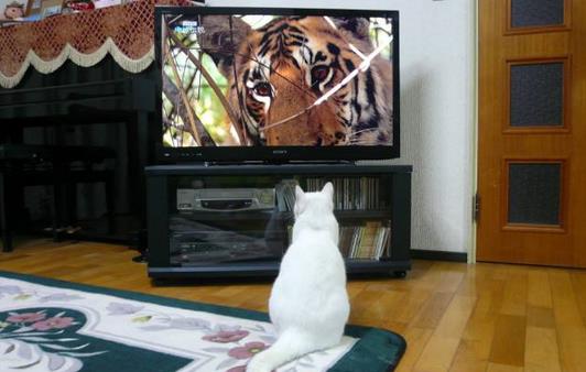 3個壞習慣竟比抽煙更致癌?