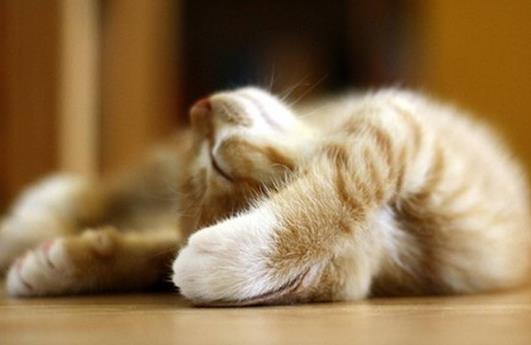 上班族伸伸懶腰更健康哦!