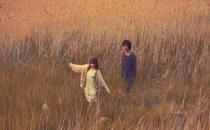 約會的絕招你都掌握了么？