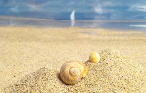 愛(ài)情問(wèn)題幫你決定是否還要繼續(xù)