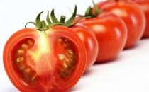 西紅柿怎么做更好吃？