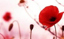 不孕不育的癥狀都有哪些？