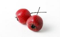 吃山楂真的會流產嗎？