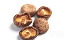 如何正確泡發干香菇？