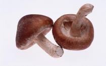 香菇的營養價值與營養吃法