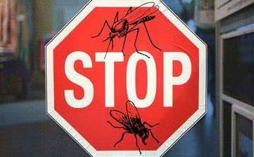 【驅蚊】驅蚊方法妙招_驅蚊植物_用什么驅蚊子效果好_驅蚊滅蚊