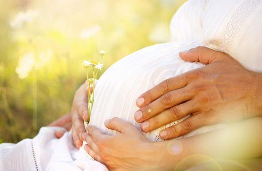 孕婦吃了甲魚會怎樣