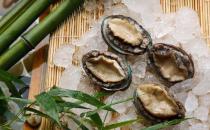 鮑魚該如何清洗？鮑魚如何挑選