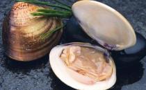 河蚌怎么洗？河蚌怎么挑選