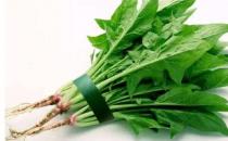 經期一定要補氣血 吃哪些食物補氣血