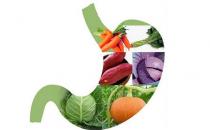 白領養胃吃這些食物最佳