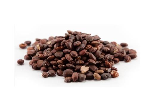 酸棗仁泡水喝竟有那么多功效！