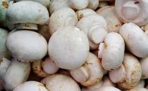 預防癌癥從飲食開始 教你用飲食抗擊八種癌癥