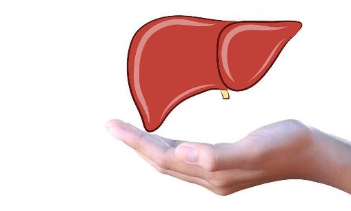 教你如何自測肝臟健康