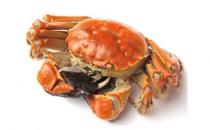 新產婦不要多吃螃蟹 容易加重寶寶濕疹