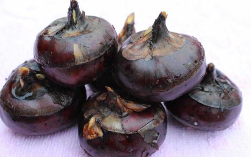 哪些食物讓你應酬千杯不醉