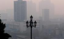 家里種什么植物能夠對抗霧霾