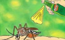 秋季蚊子毒？教你如何有效防蚊