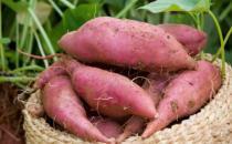 季節變更之際多吃蔬菜