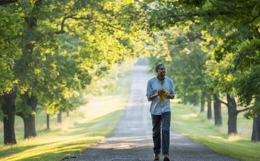 散步竟然也有這些禁忌!
