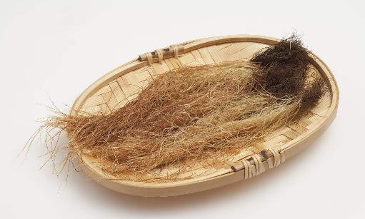 玉米須竟然能夠降血糖？