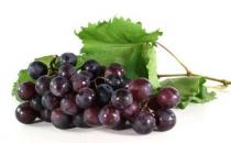 男士養(yǎng)生 保持私處健康15常識(shí)