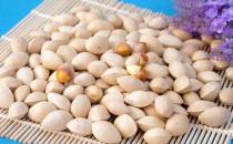 腎虛怎么辦，這幾種食物讓你壯陽補腎