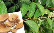 男人要養腎 少做這9件事