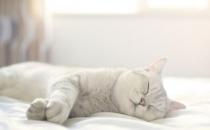 ?睡子午覺需要注意什么事項(xiàng)