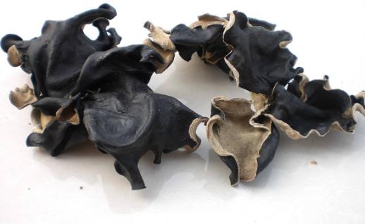 盤(pán)點(diǎn)冬季最營(yíng)養(yǎng)的廉價(jià)滋補(bǔ)品