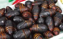 吃什么食物有利于前列腺保養