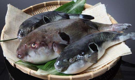 六個秘笈可增強男性性功能