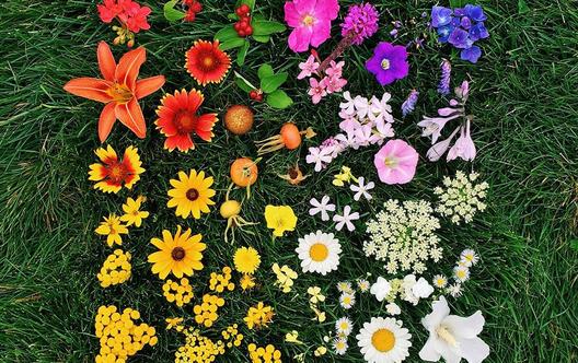 強迫癥的表現都有哪些