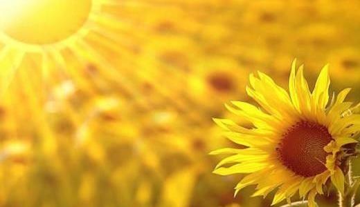 心思敏感的人該如何克服自己的心態