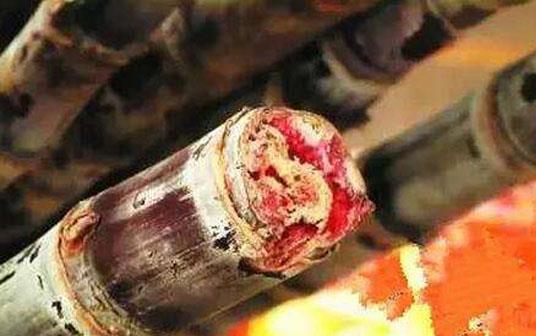 甘蔗的吃法 霉變發(fā)紅的甘蔗不能吃