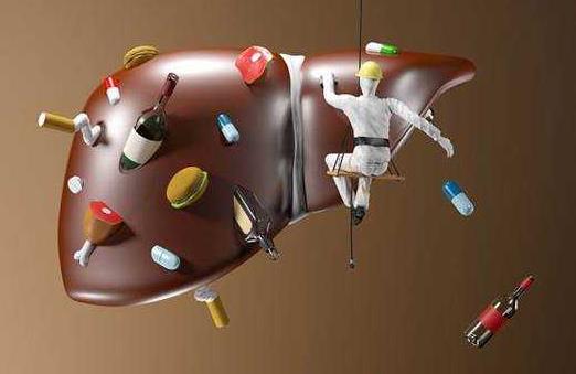 冬季養(yǎng)肝護肝進補食物 日常養(yǎng)肝食譜及補肝飲食口訣