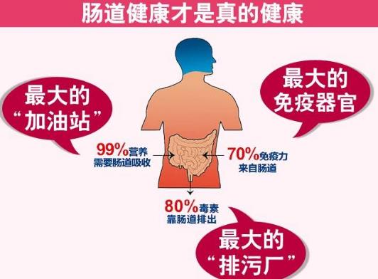 拿破侖的難言之隱便秘致其滑鐵盧慘敗 好習慣養成好腸道