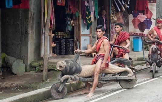 菲律賓一部落的交通工具 造型奇特 剎車完全靠腳