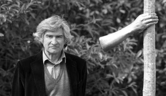 世界上最孤獨的手 握了半個世紀樹干 游客卻說太殘忍