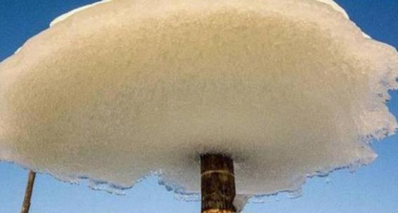 俄羅斯干干凈凈的水庫 一夜之間突然出現(xiàn)“冰蘑菇”