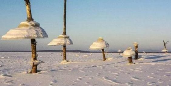 俄羅斯干干凈凈的水庫 一夜之間突然出現(xiàn)“冰蘑菇”