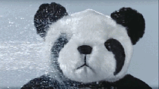 黑眼圈形成原因 4種營養9大飲食攆走女人“熊貓眼”