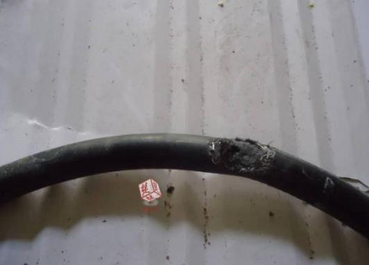 房屋著火夫妻25樓極限逃生 發(fā)生火災(zāi)跑還是不跑