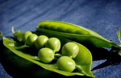 為孕媽咪加餐 春季美食推薦