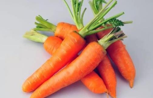坐月子營養又不發胖的食物 不妨吃吃胡蘿卜