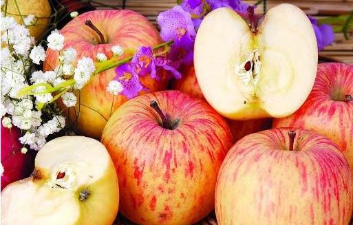 孕婦不可食用木瓜 性寒易引發(fā)流產(chǎn)