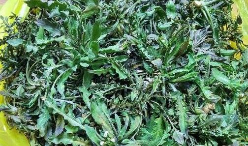 孕期飲食有“三寶” 促進(jìn)胎兒頭腦發(fā)育