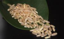 冬季減肥不用節食 這幾種食物越吃越瘦